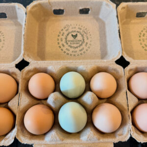 Farm Fresh Half Dozen Eggs